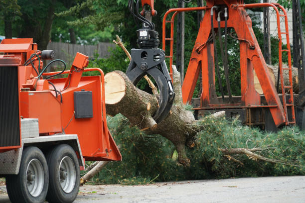 Lawn Drainage Solutions in Tyler, TX